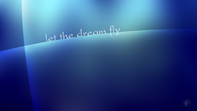Let the dream fly